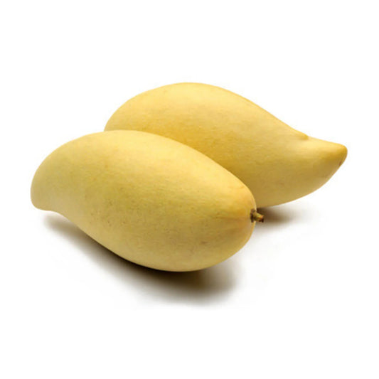Totapuri Mangoes